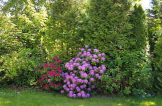 Garten 80 Garten 80