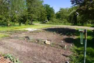 Gemüsegarten7 Gemüsegarten7