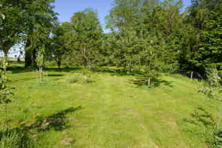 Obstwiese Obstwiese